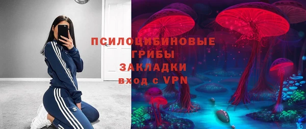 амф Нязепетровск