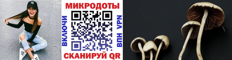 Галлюциногенные грибы мухоморы blacksprut ONION Соликамск даркнет сайт