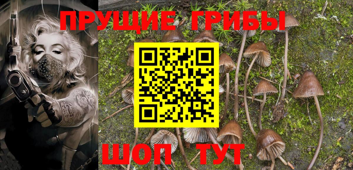 что такое наркотик  Соликамск  Псилоцибиновые грибы Psilocybine cubensis 