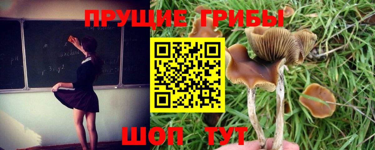Галлюциногенные грибы ЛСД Соликамск